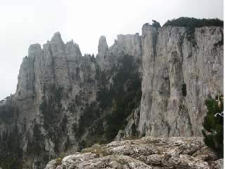 صور Ai-Petri Mountain المناظر الطبيعية